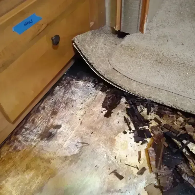 Wood Floor Water Damage in Saint Croix Falls, WI